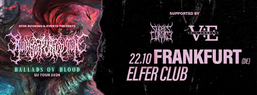 RUINS OF PERCEPTION + Supports \/\/ 22.10.2024 \/\/ Frankfurt am Main, Elfer Club