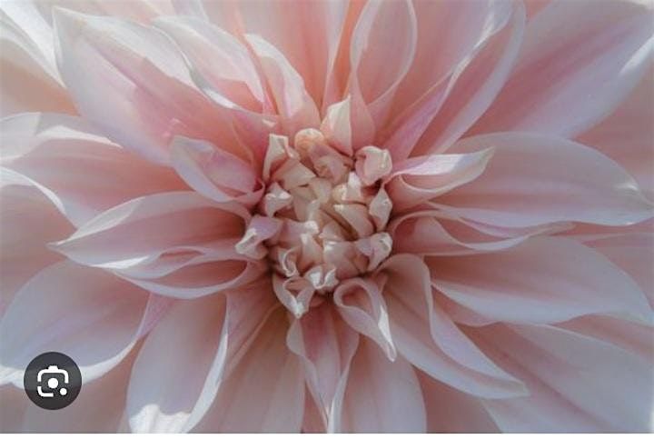 Taping to release anxiety