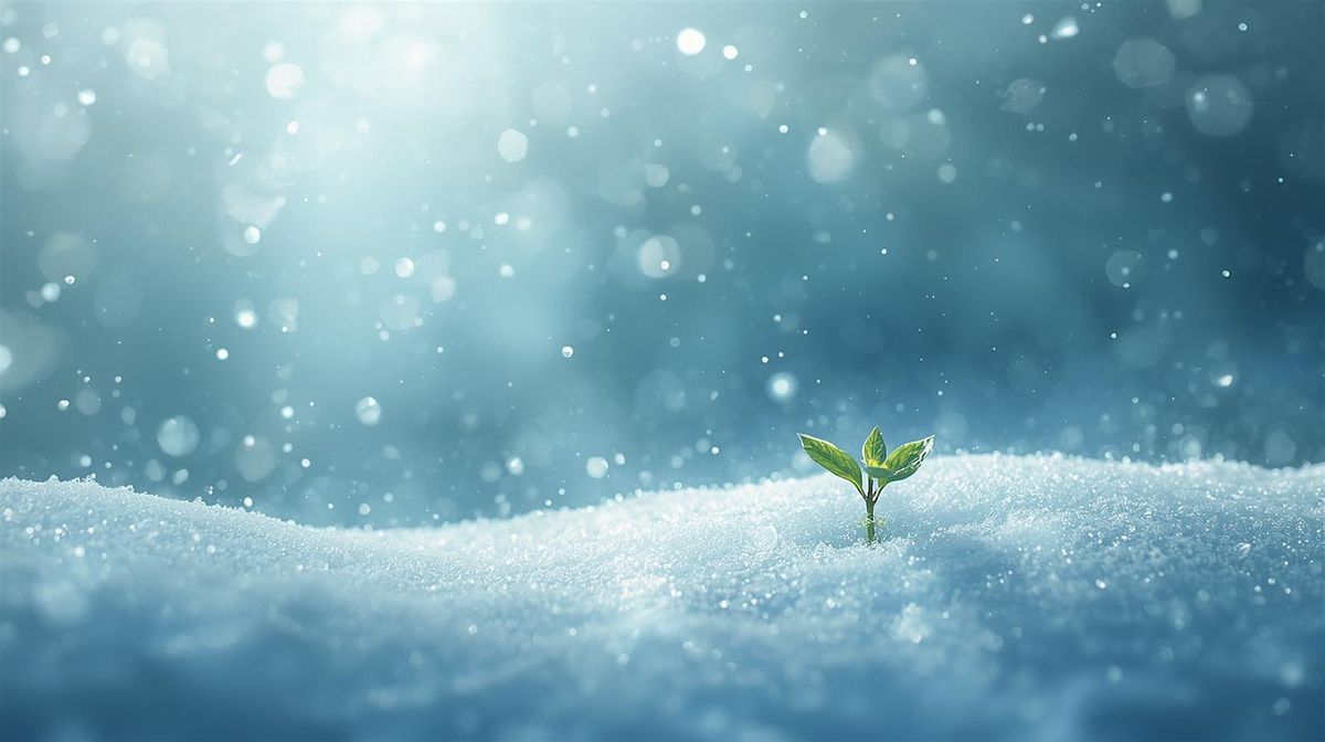 Dreaming the Year Into Being: Visioning from Stillness & Inner Wisdom