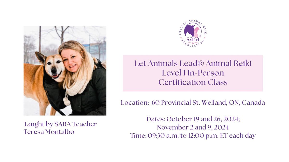 Let Animals Lead\u00ae Animal Reiki Level 1 In-Person Certification Class in ON, Canada