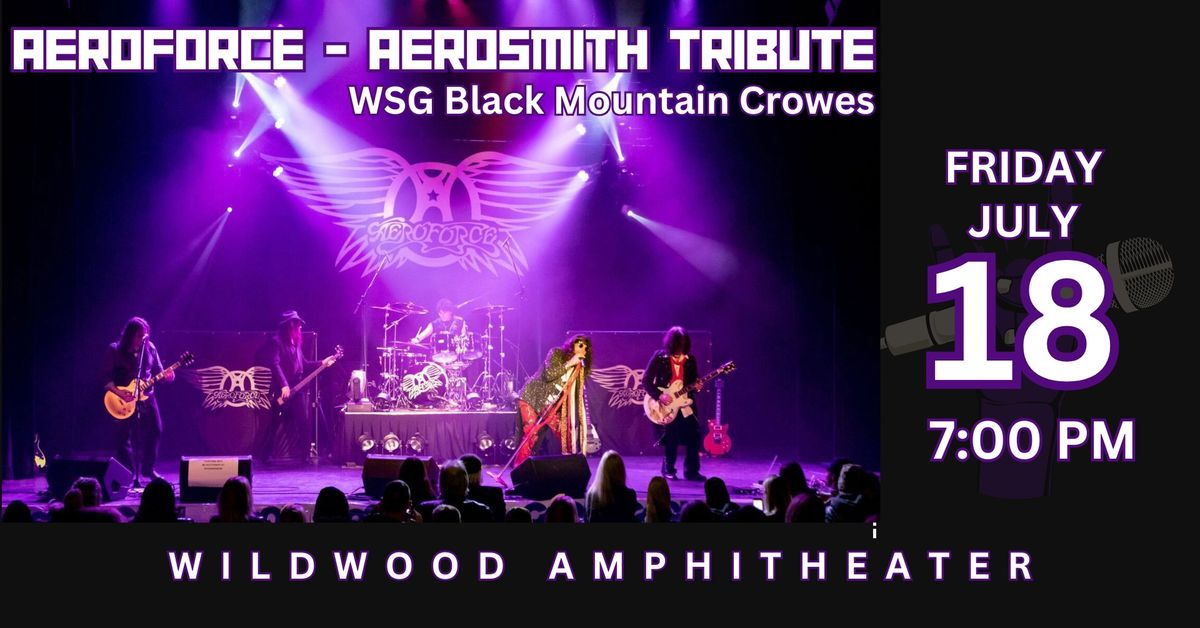 Aeroforce tribute to Aerosmith wsg Black Mountain Sons tribute to Black Crowes