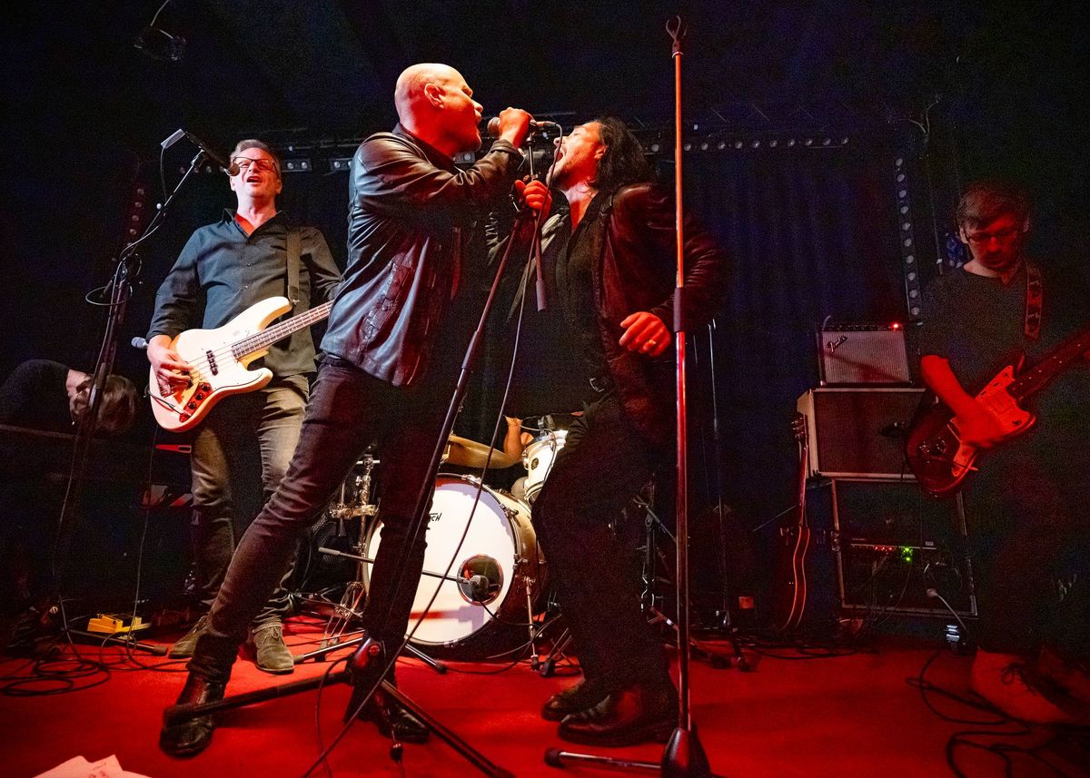 DIE BUBEN IM PELZ & DER KLEINE TOD live in der Roten Bar