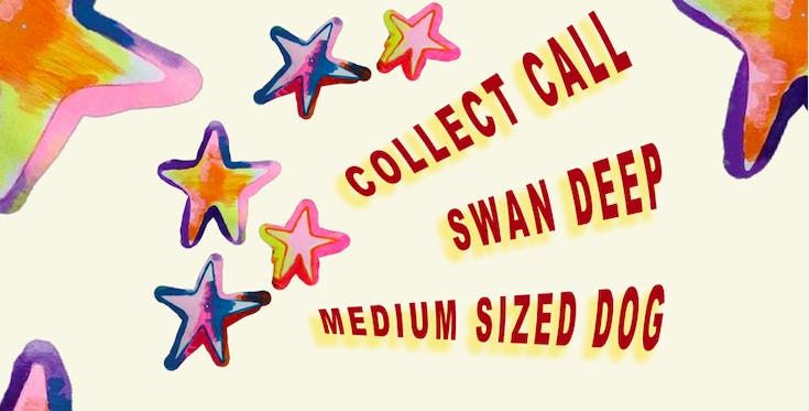 H&amp;R One's 2 Watch: Collect Call + Swan Deep + Medium Sized Dog 