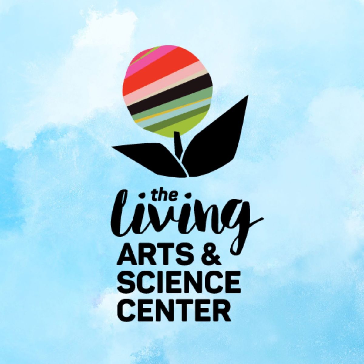 Mission Monday: The Living Arts and Science Center 