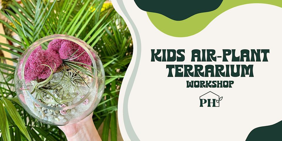 Kids Air Plant Terrarium Workshop