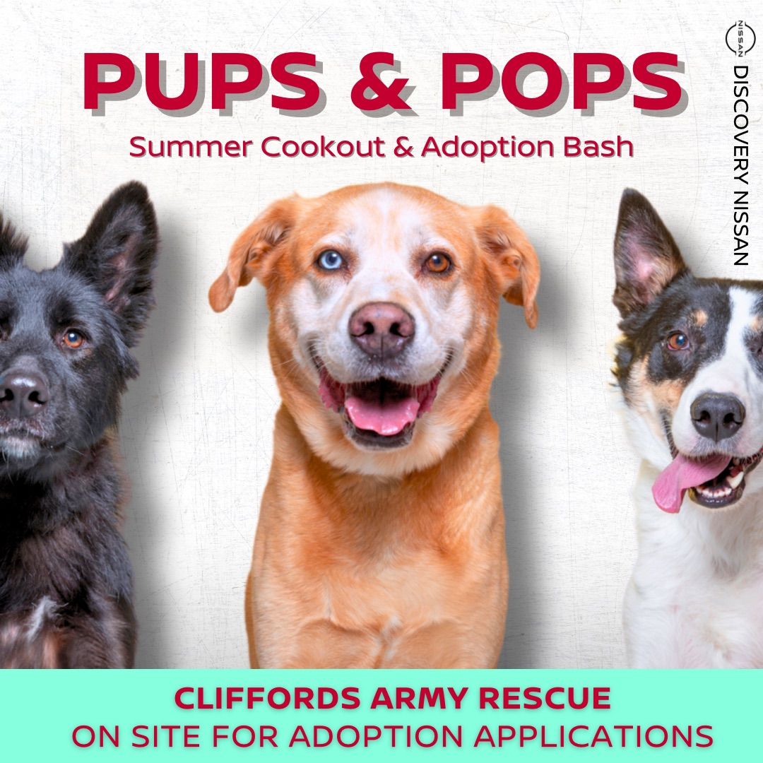 Pups & Pops: Summer Cookout & Adoption Bash