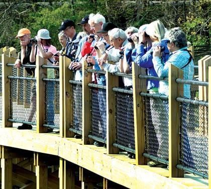 Fall Birding @ Galien River County Park