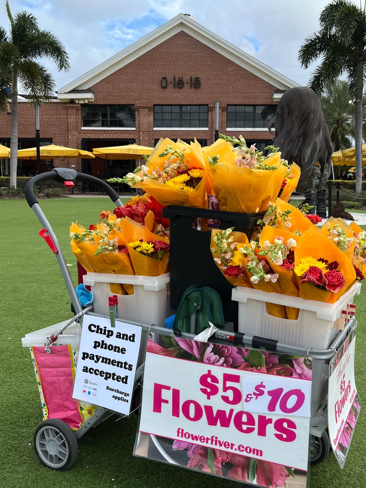 Ulele weekly flower buggy stop