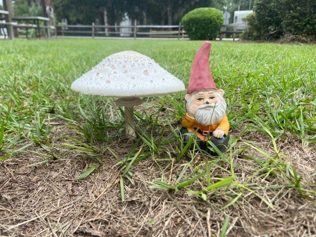 Fairy and Gnome Festival