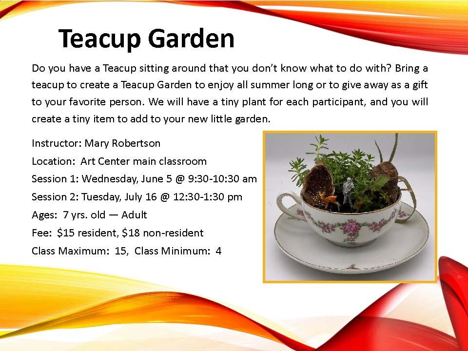 Teacup Garden: Session 2