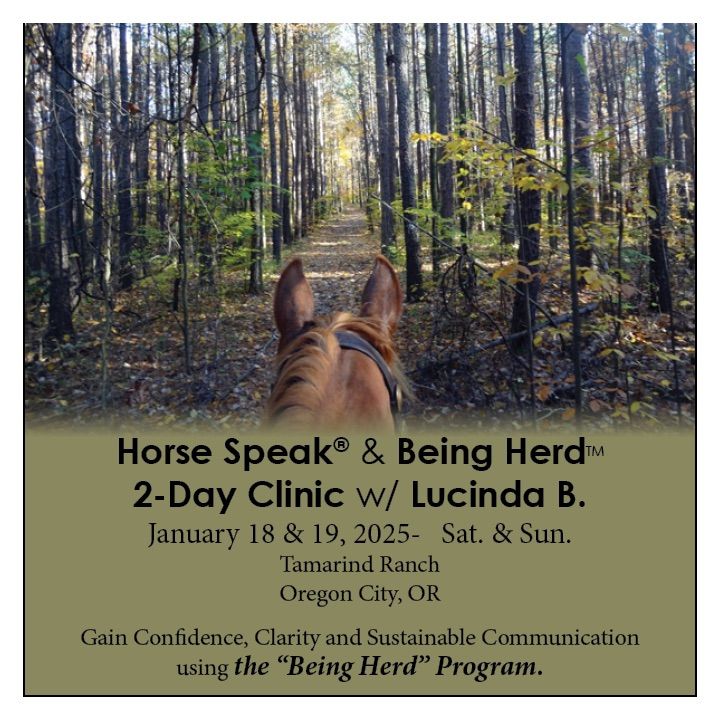 Horse Speak - Learn the language of horses