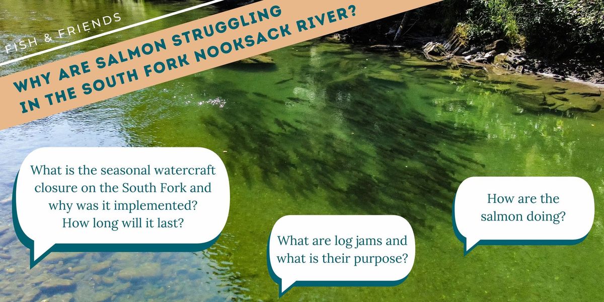 Why are salmon struggling in the South Fork Nooksack River? Presentation and Q&A with Sarah Brown