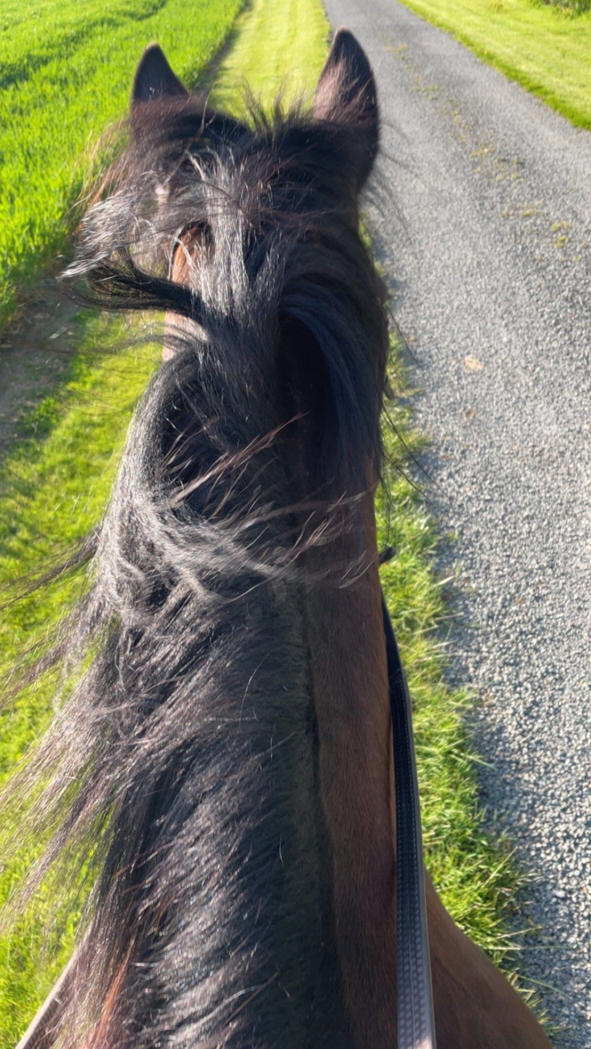 Guided rides September dates Hartwell and Hanslope 