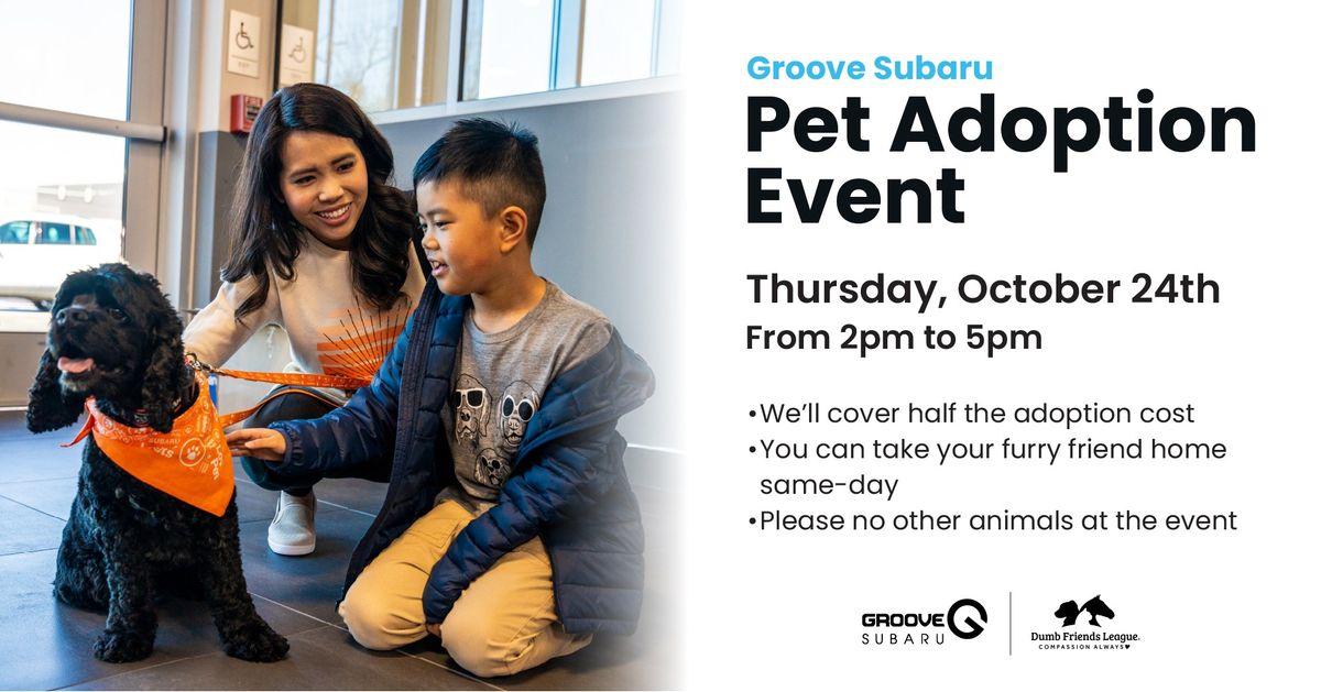 Groove Subaru Pet Adoption