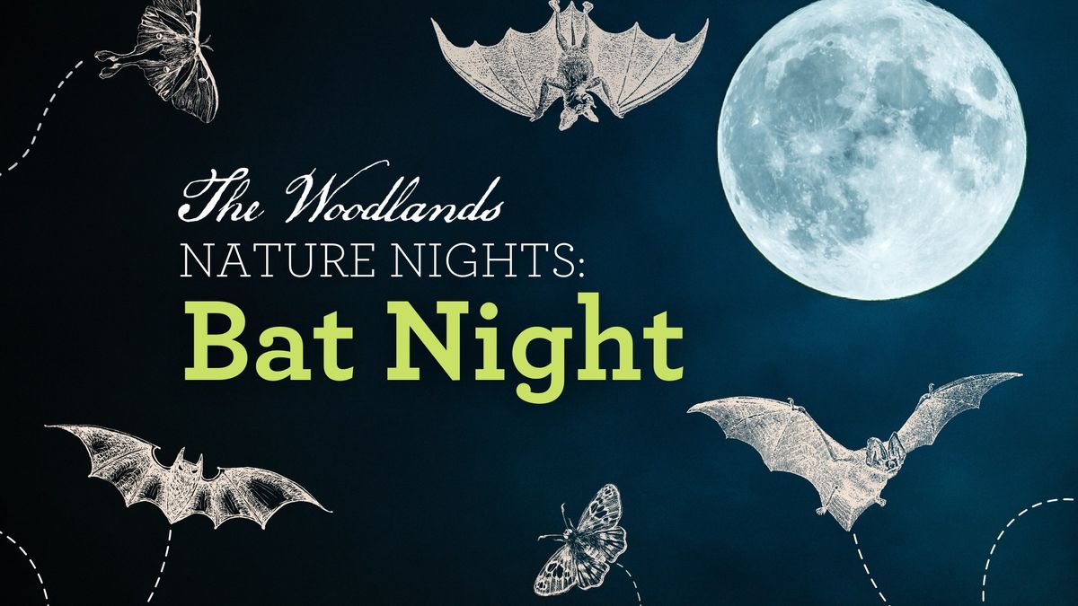 Nature Nights: Bat Night