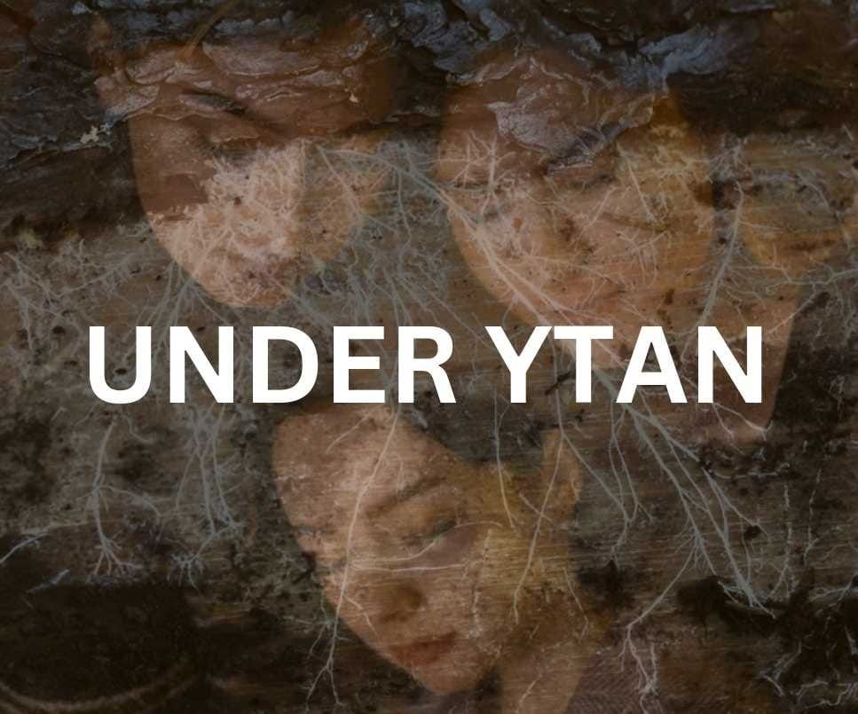 Under ytan 