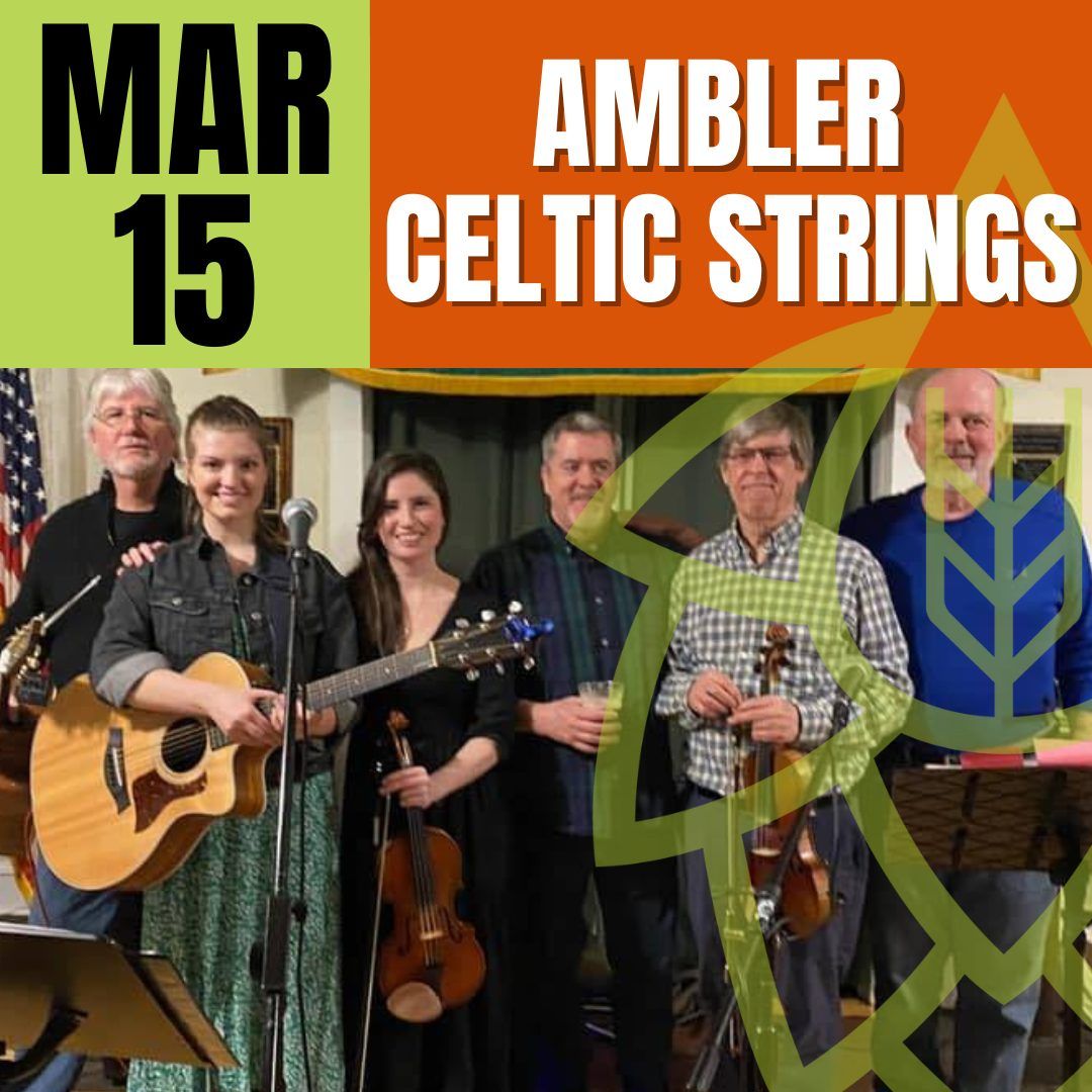 Ambler Celtic Strings