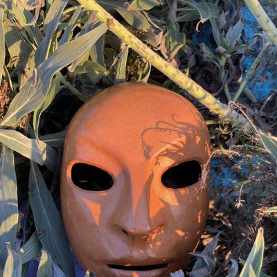 The Eco-Performance Lab at UC Berkeley