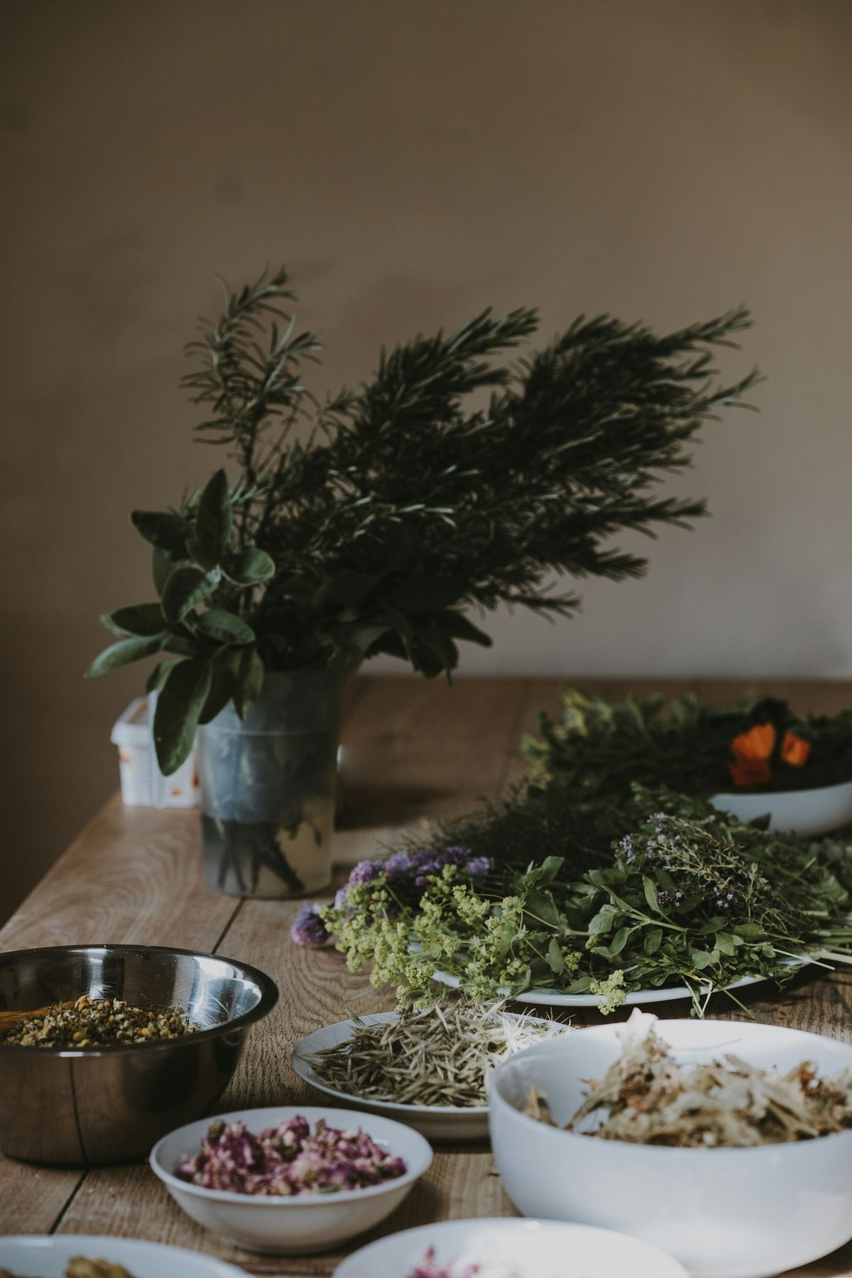 Thankful For Herbs- Weird facts and historical herbal practices