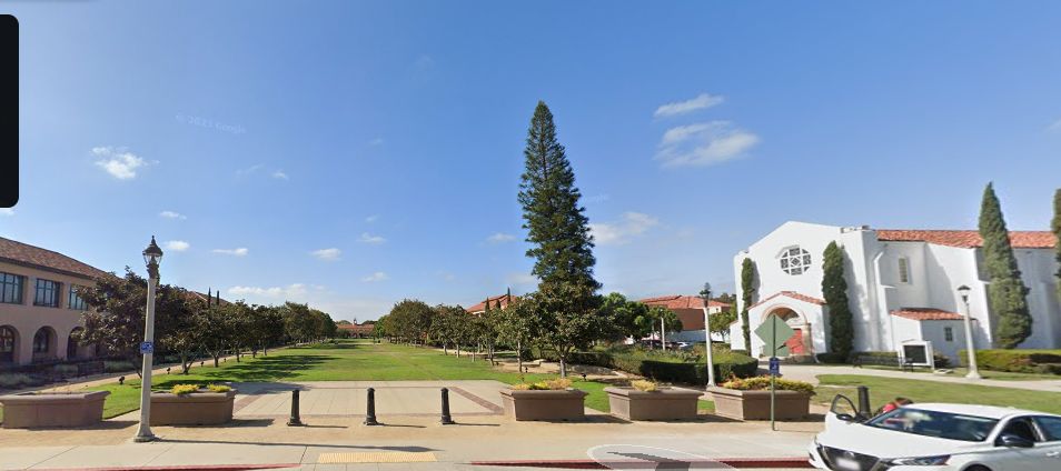 75th Annual San Diego Bird Alliance Festival