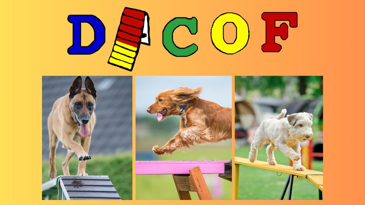 Dog Agility Competition of Florida 2024