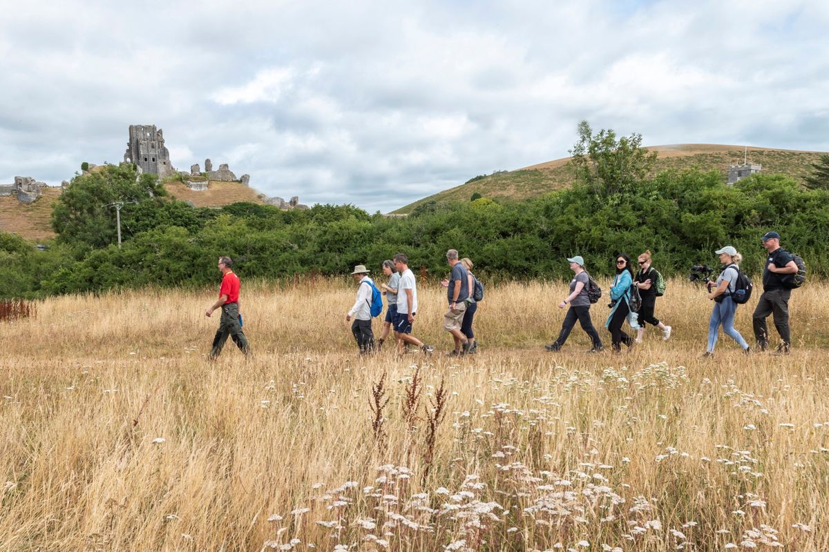 Free guided walk - The Rings and Corfe Common ?