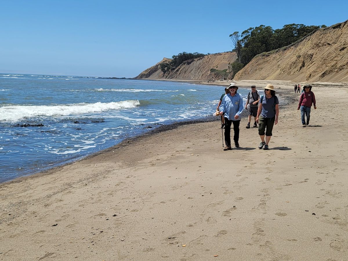 Duxbury Reef-ID Tidepool Life,Healing Seas+Bolinas Forest&Agate Beach Walks