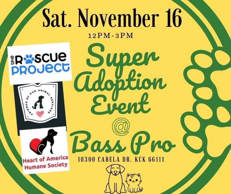 Super Adoption Event