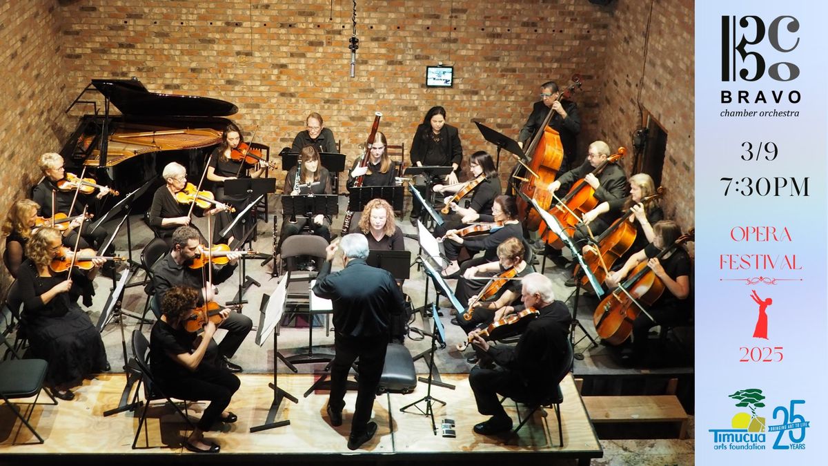 Opera Festival: Bravo Chamber Orchestra