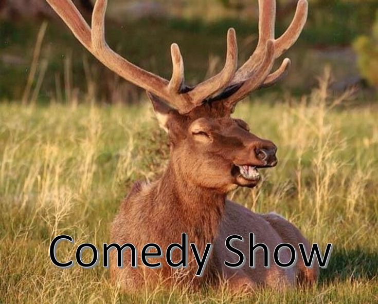 Elks Comedy Show to benefit the Special Olympics