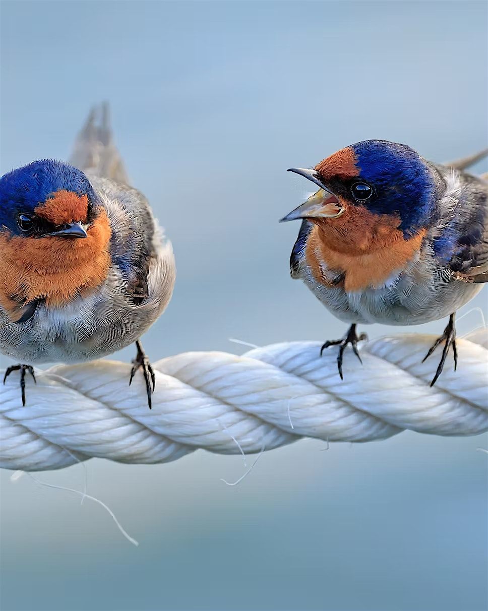 "It\u2019s Not a Debate!": Why Your Relationship Needs Better Arguments