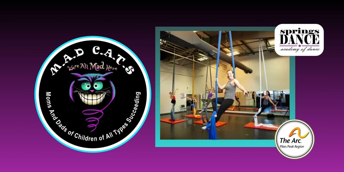 MAD CATS - Aerial Silks Class \ud83e\udea2