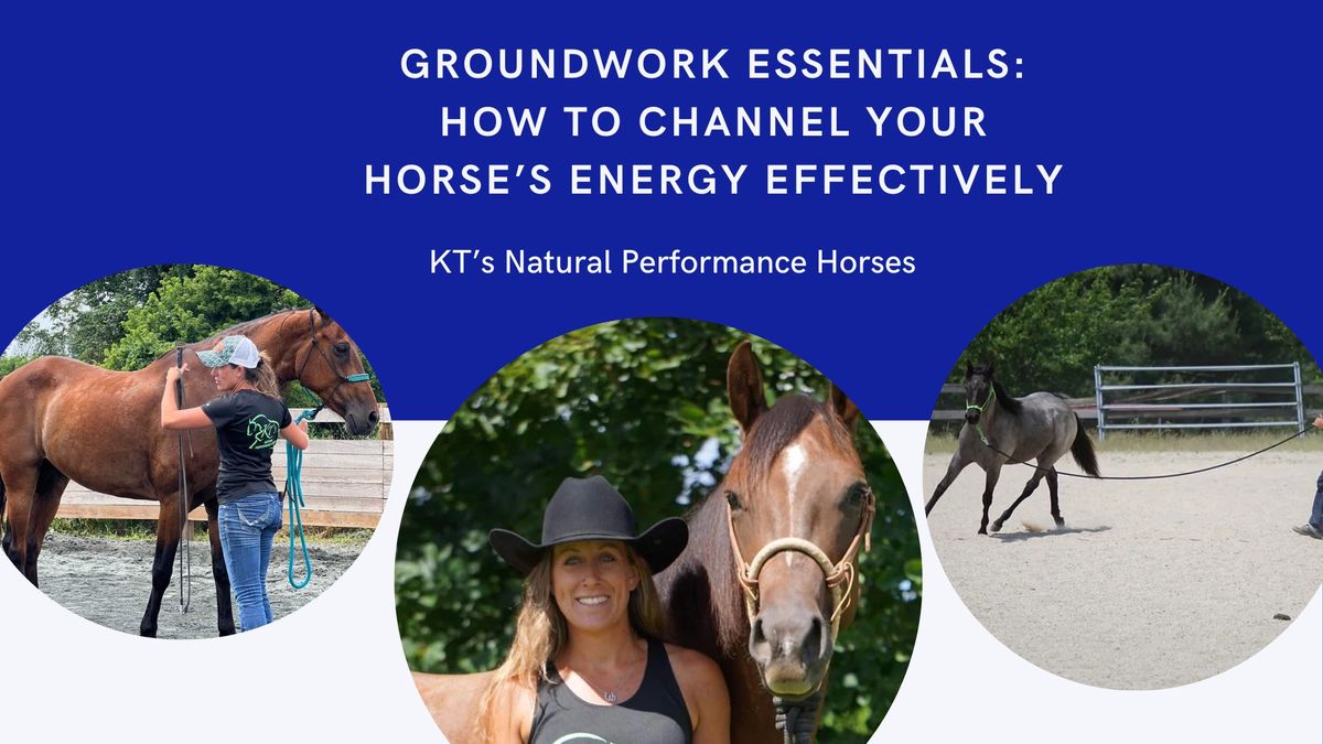 Groundwork Essentials: How to channel your horse\u2019s energy effectively 