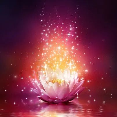 Lotus Light Reiki Master Teacher Training and Certification 