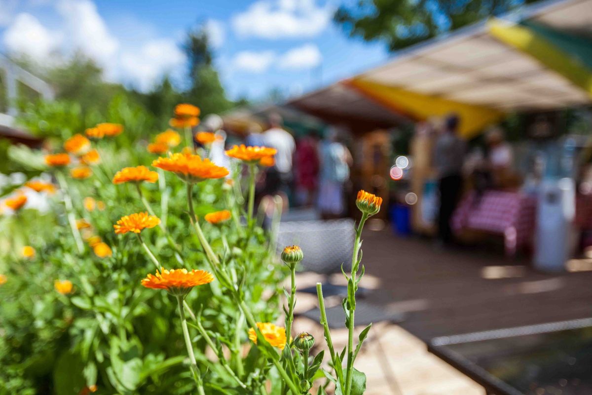 East Lindfield Village Markets 