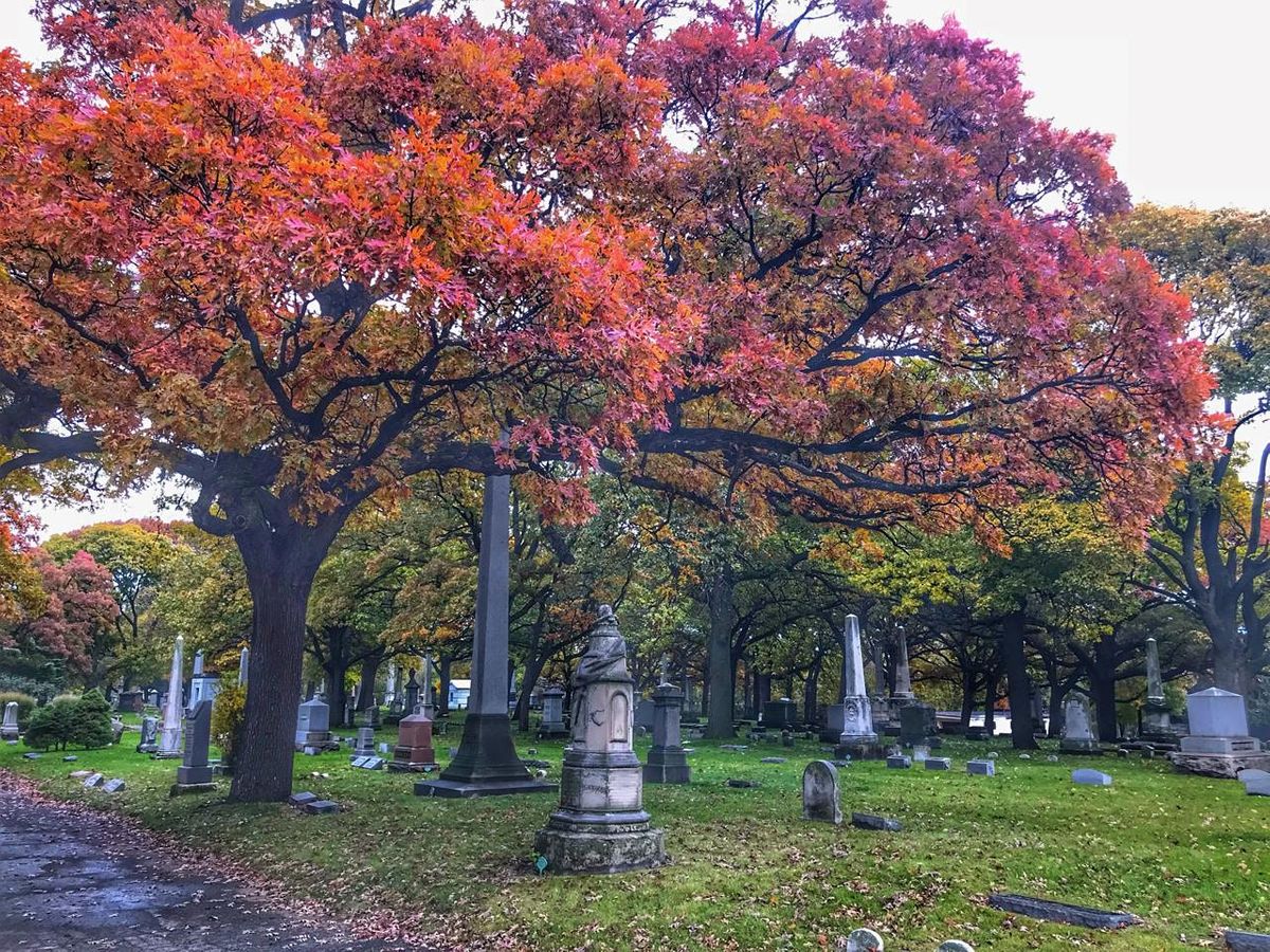 Rosehill Cemetery Walking Tour