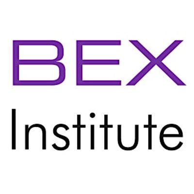 The Business Excellence Institute