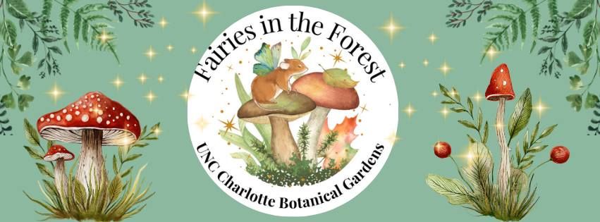 Fairies in the Forest: A Twilight Family Event 