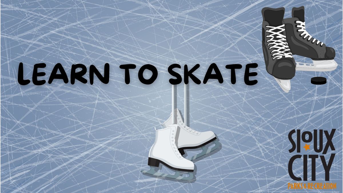 Learn to Skate: Session 1