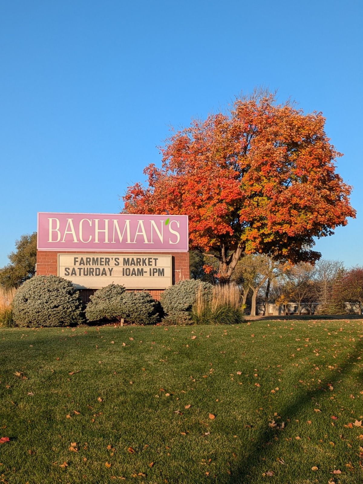 Indoor Winter Farmers' Market - Bachman's Apple Valley