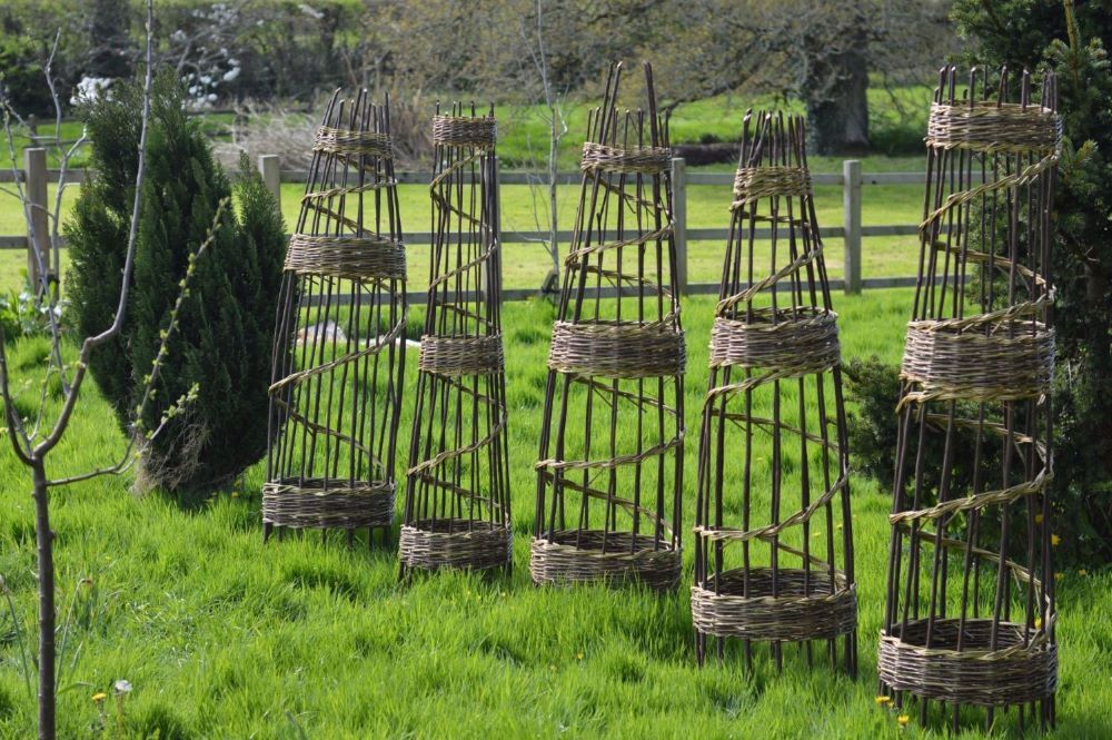 Plant Support Willow Weaving Workshop