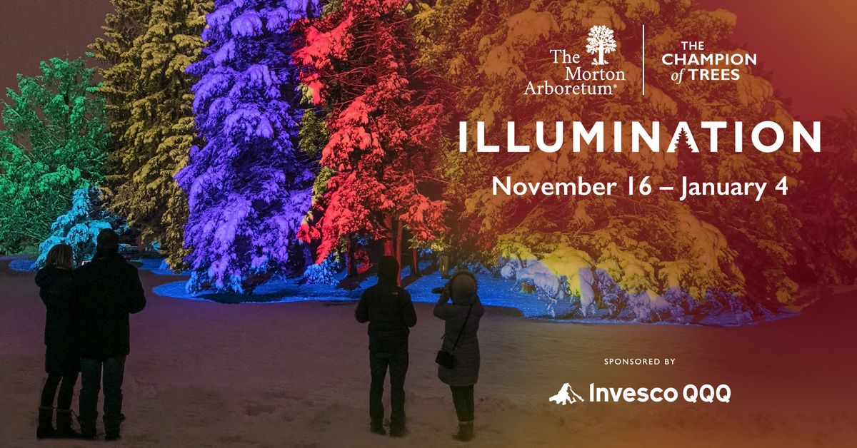 Illumination: Tree Lights at The Morton Arboretum