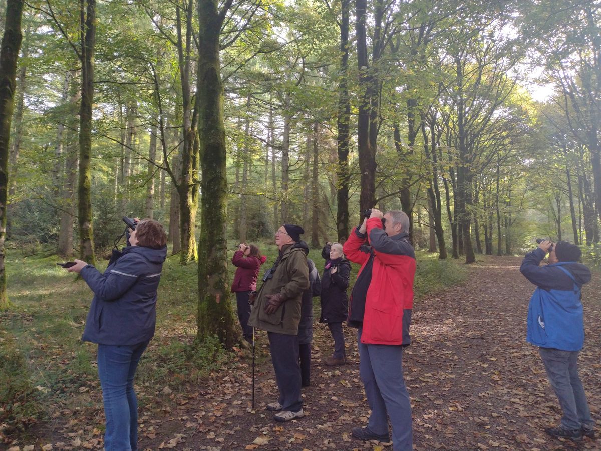 Birdwatching \u2013 Understanding More About Autumn Birds with Nature Stuff (Tuesdays)