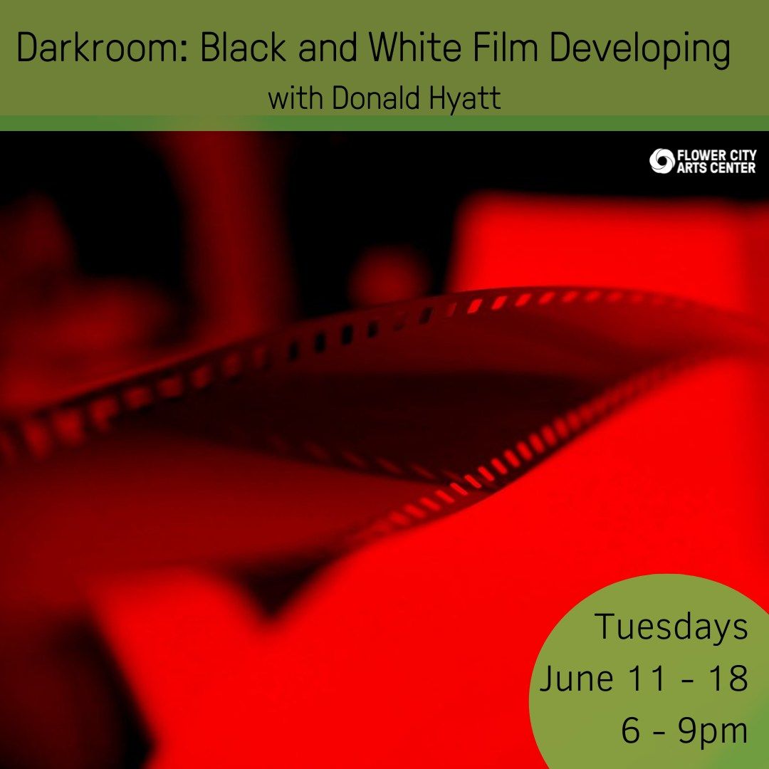 Darkroom: Black and White Film Developing
