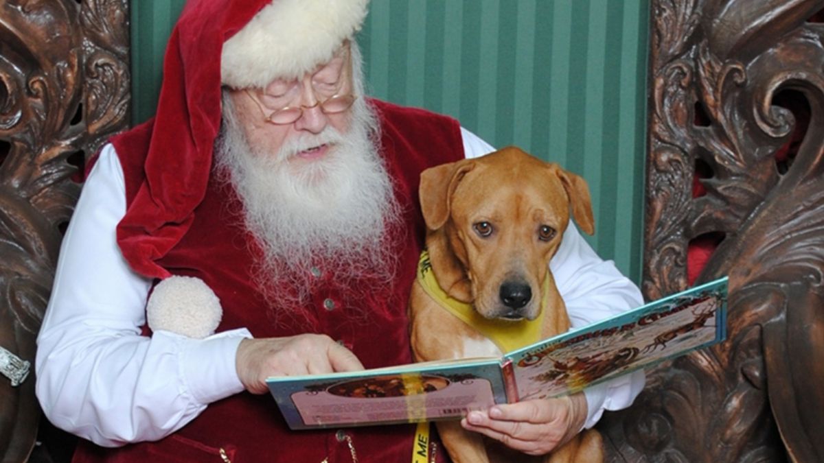 PET NIGHT WITH SANTA