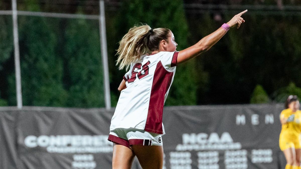 Florida Gators at South Carolina Gamecocks Womens Volleyball