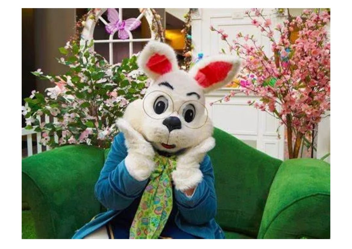 Easter Bunny Photos 