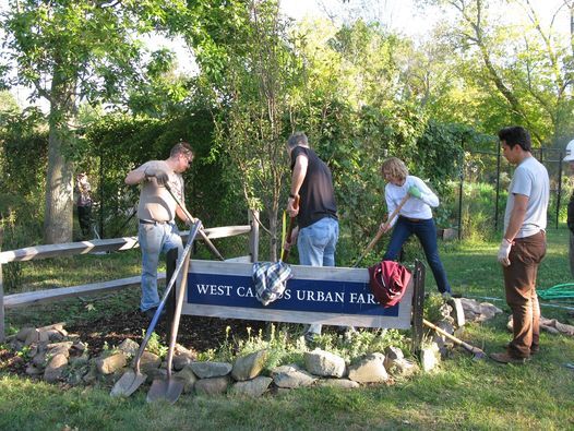 Milestone Tree Plantings at West Campus