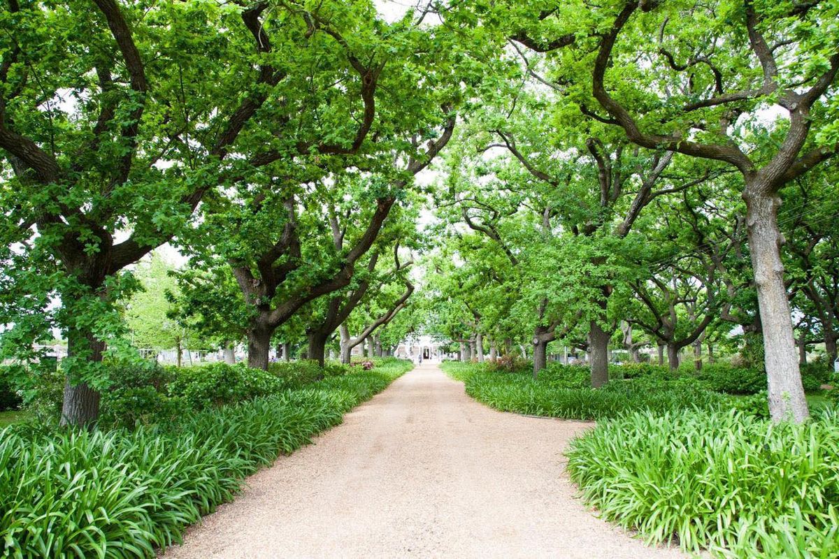 Relax under the trees!