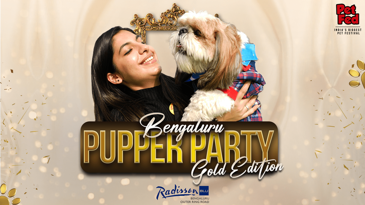 Bengaluru Pupper Party - Gold Edition